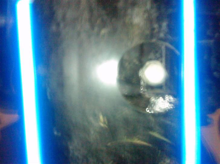 MiniBike dirt bike. billede 4