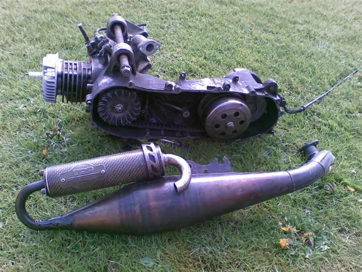 PGO Pmx Neaked projekt  billede 5