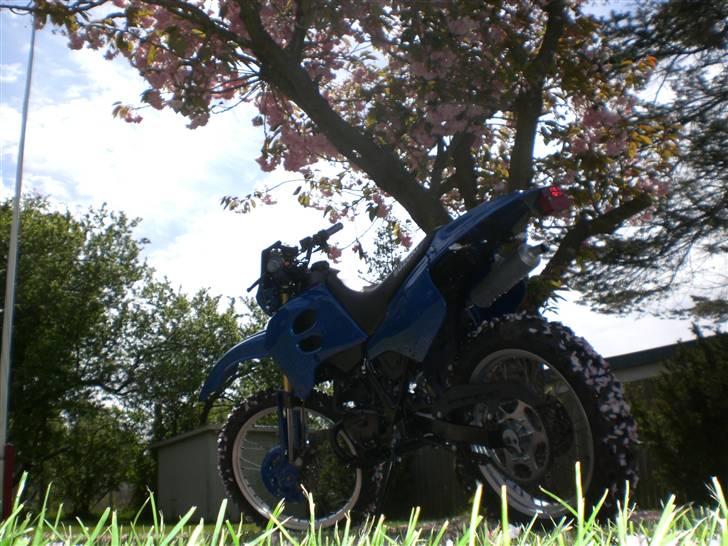 Suzuki  RMX LC dd (efter) billede 3