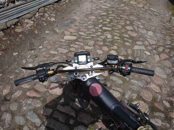 Sachs Mad ass billede 8