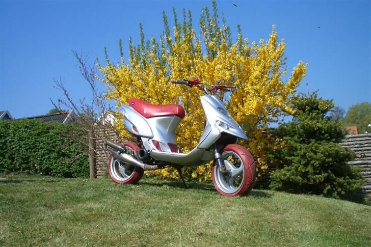 Gilera Stalker - efter billede 11