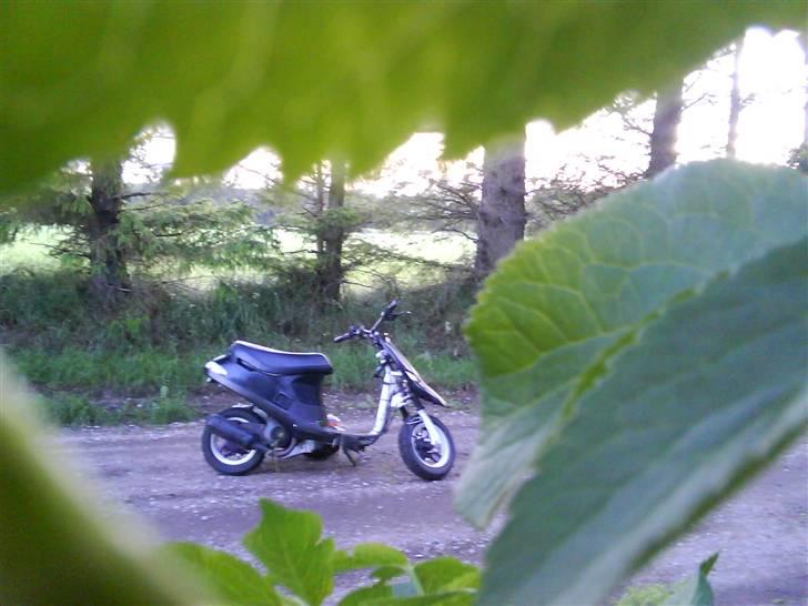 PGO Comet Byttet - kommendene poleret forgaffel på cometen billede 19