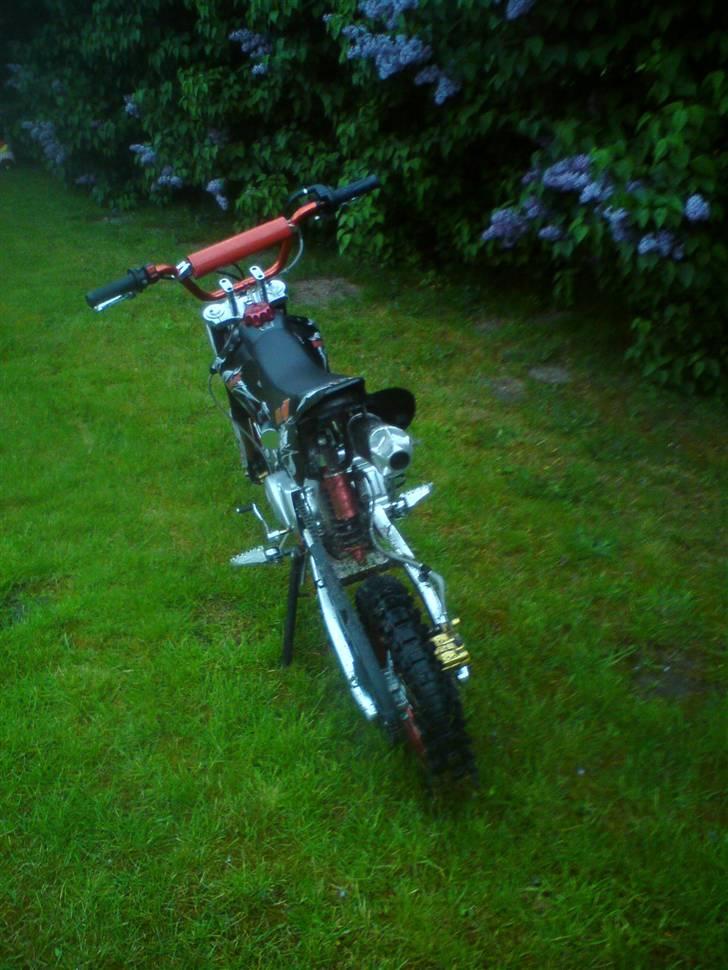Pitpro solgt - Jaja go røv  billede 2