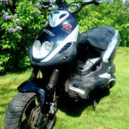 PGO Pmx Naked