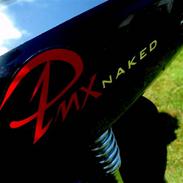 PGO Pmx Naked