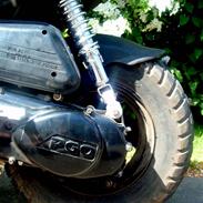 PGO Pmx Naked