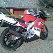 Yamaha TZR 50 - SOLGT