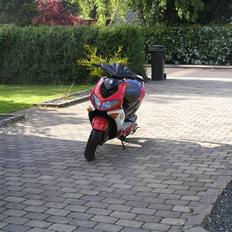 Peugeot Speedfight1 LC DD solgt