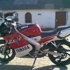 Yamaha TZR 50 - SOLGT