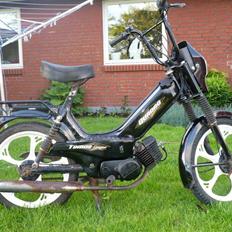 Tomos Quadro *SOLGT*