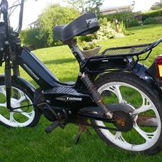 Tomos Quadro *SOLGT*