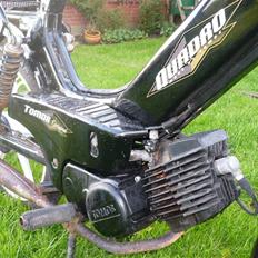 Tomos Quadro *SOLGT*