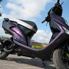 Honda SFX ®CandyPurple SOLGT