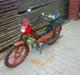 Puch Maxi Night Rider (Solgt)