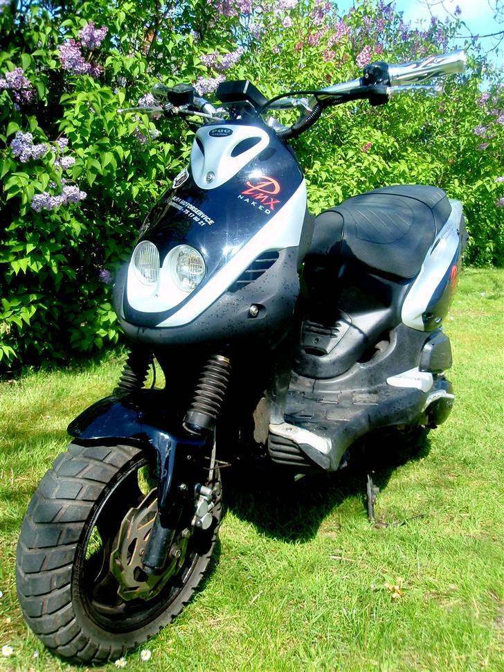 PGO Pmx Naked billede 1