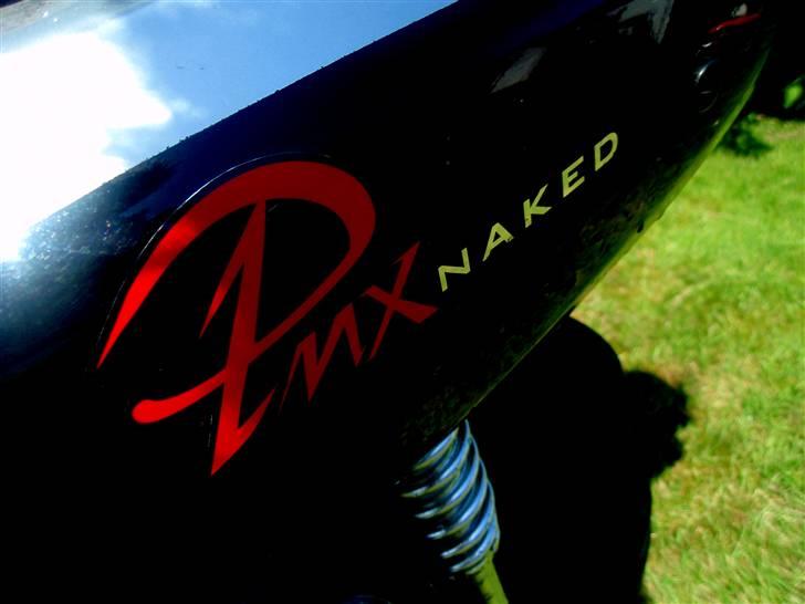 PGO Pmx Naked billede 2