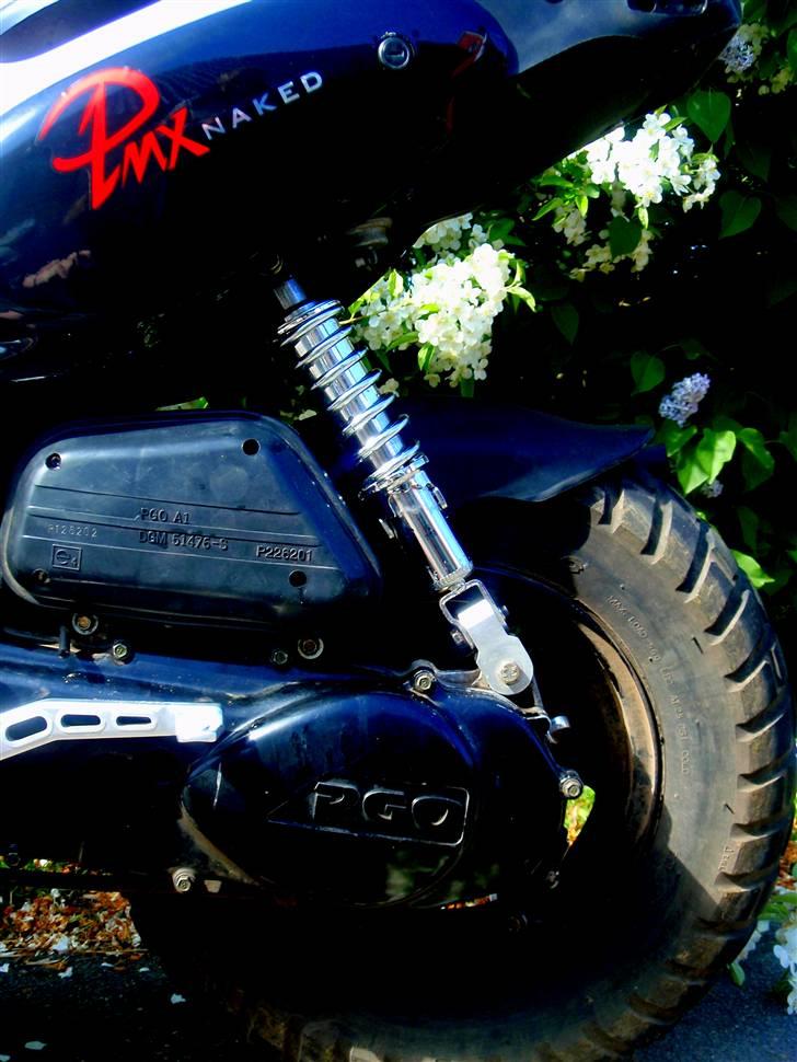 PGO Pmx Naked billede 7