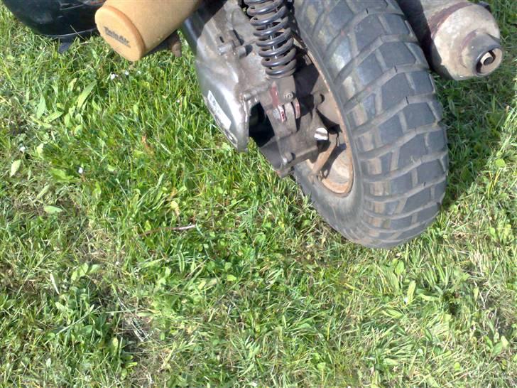 PGO hot 50 billede 7