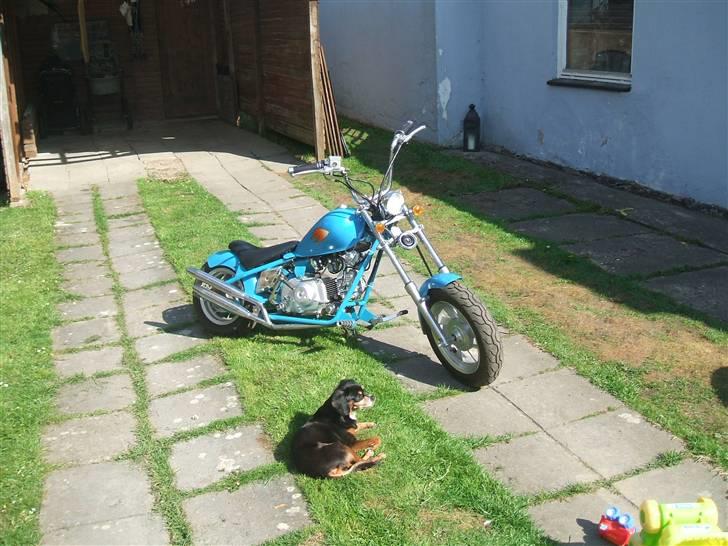 Honda Chopper (byttede væk) billede 2