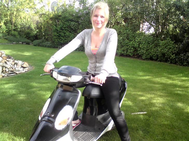 PGO Comet  (Willy) SOLGT billede 6