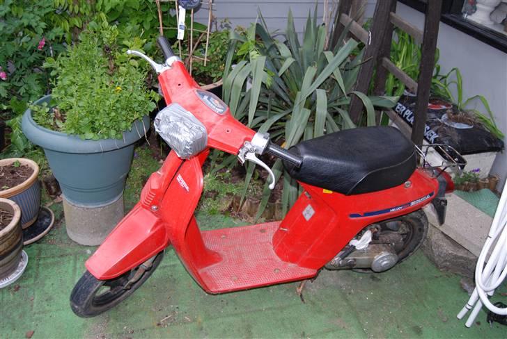 Honda Honda Melody billede 1