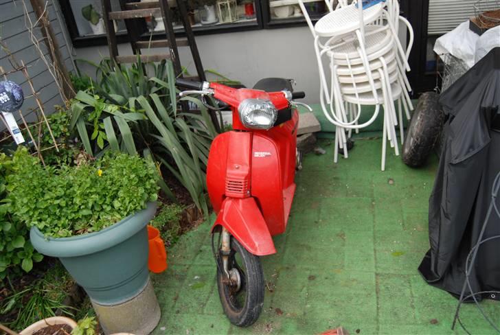 Honda Honda Melody billede 2