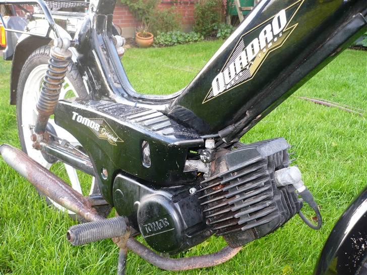 Tomos Quadro *SOLGT* billede 3