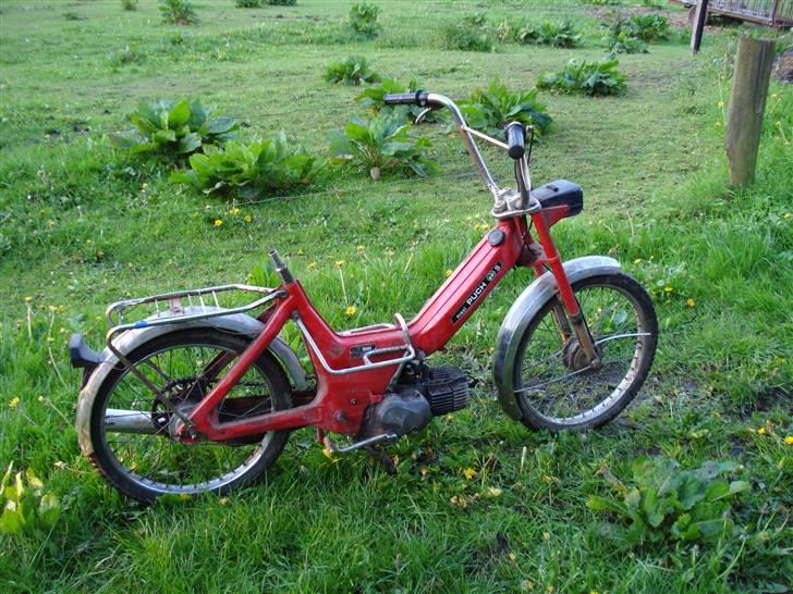 Puch Maxi S *solgt* billede 1
