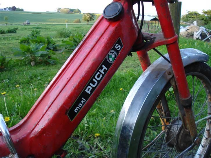 Puch Maxi S *solgt* billede 3