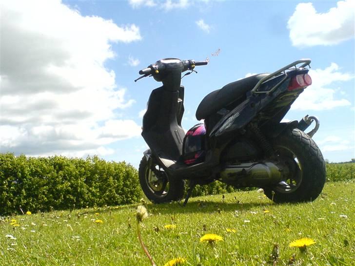 PGO Hot 50 BYTTET TIL JOG - helt nyt billed :) billede 11