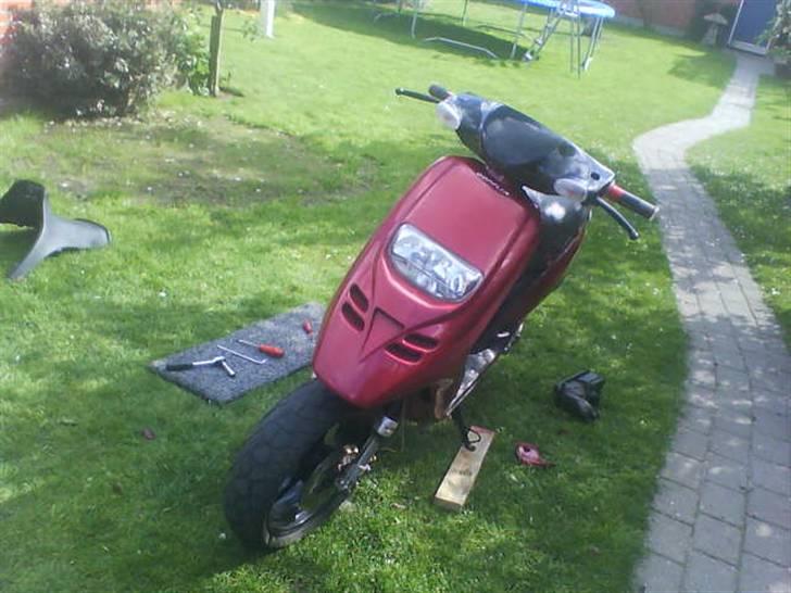 Piaggio Typhoon byttet billede 15