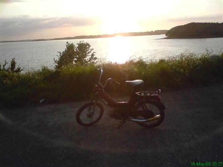 Puch Maxi p1 - (Byttet) billede 6