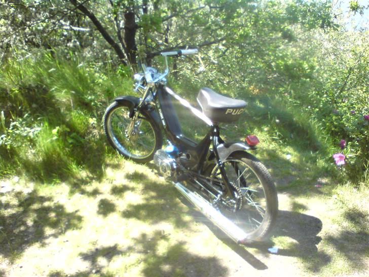 Puch maxi Solgt !! billede 9