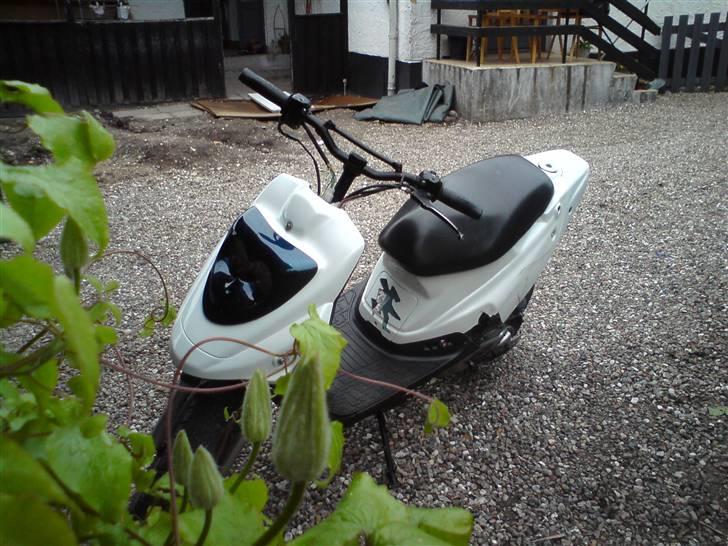 PGO hot 50 solgt billede 1