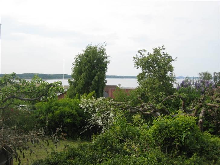 Yamaha Streetrox $solgt$ billede 7