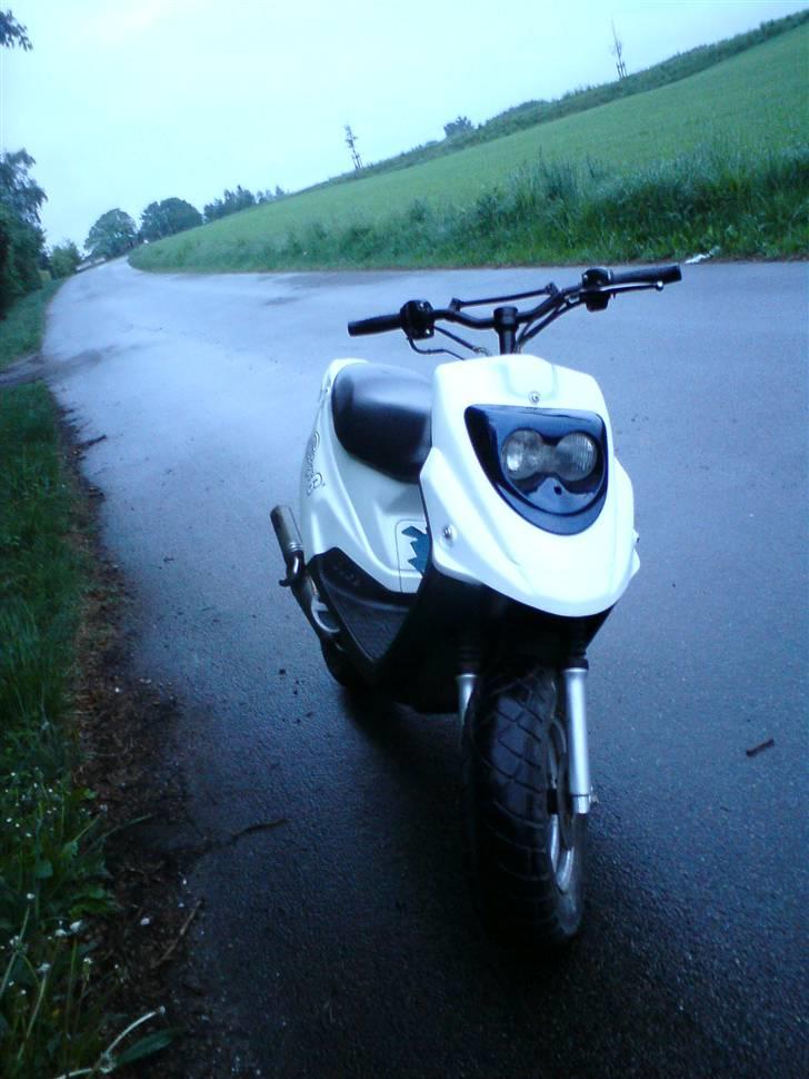 PGO hot 50 solgt billede 4