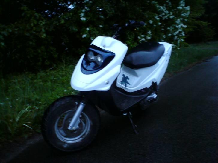 PGO hot 50 solgt billede 5