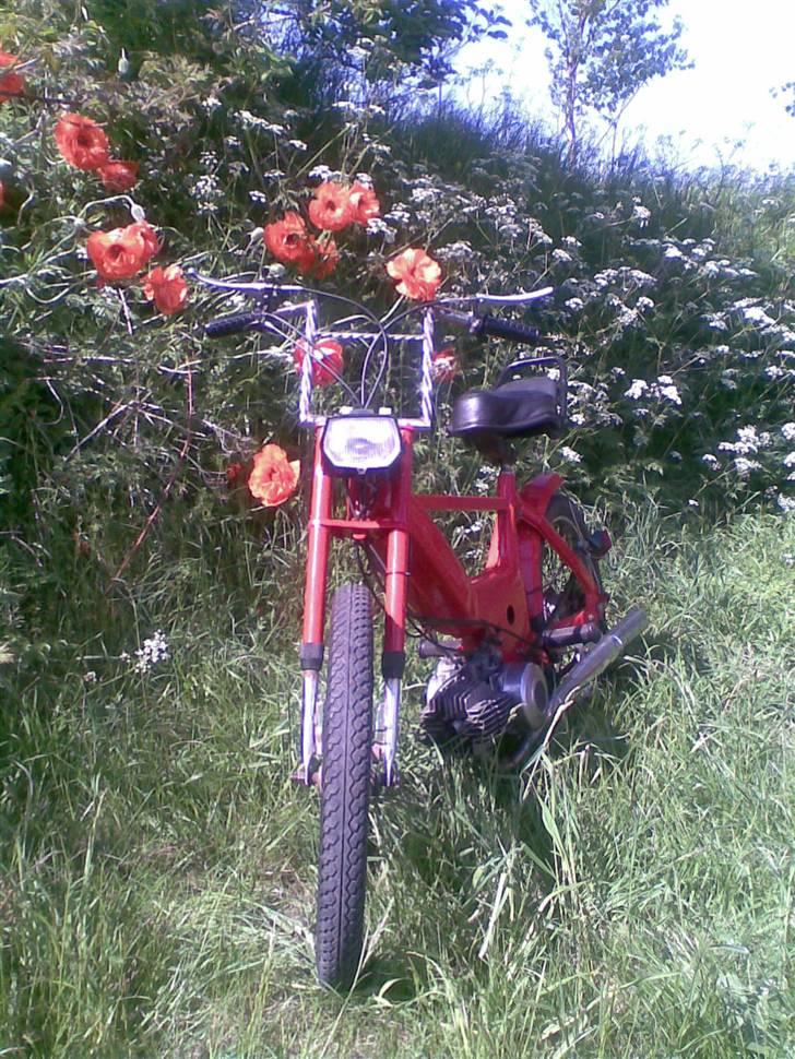 Puch maxi k solgt billede 2