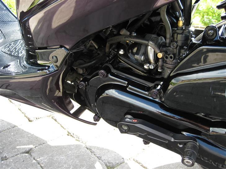 Honda SFX ®CandyPurple SOLGT billede 14