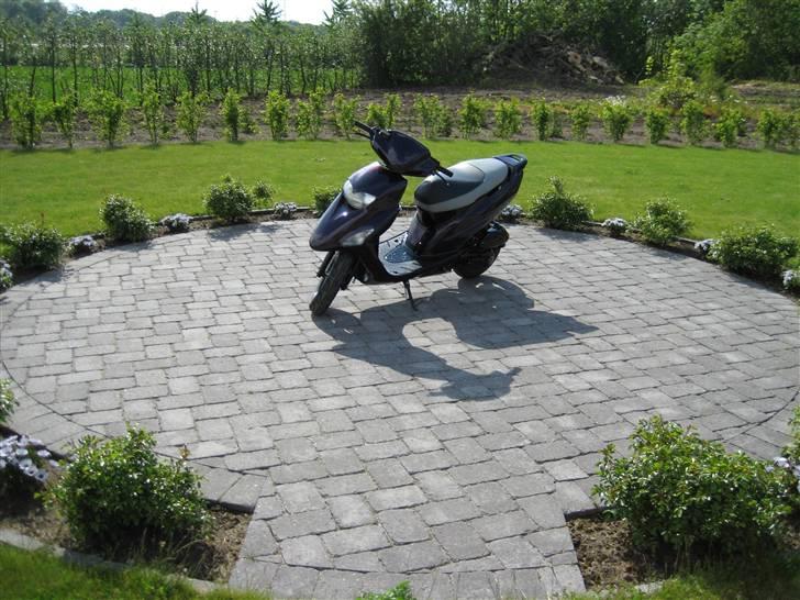 Honda SFX ®CandyPurple SOLGT billede 18