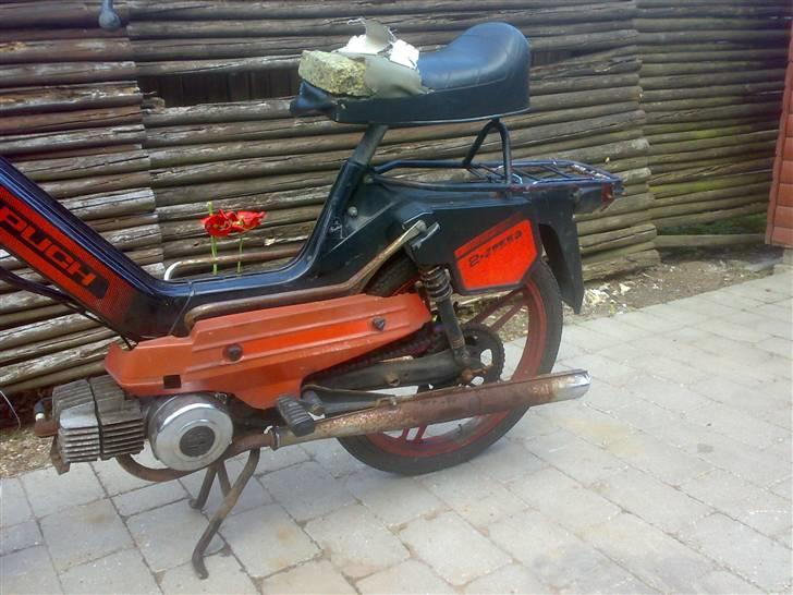 Puch Maxi Night Rider (Solgt) billede 2