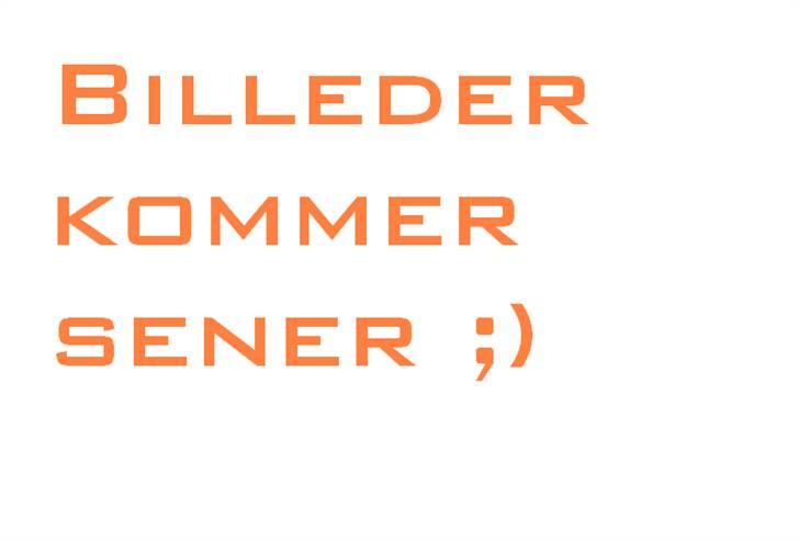 Aprilia Sonic [SOLGT TIL TOMTOM] billede 4