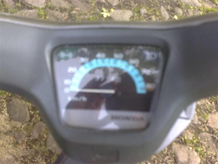 Honda wallaro billede 2