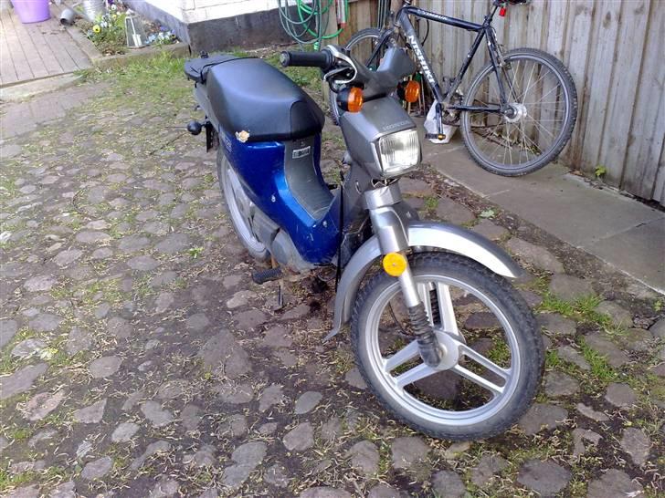 Honda wallaro billede 3