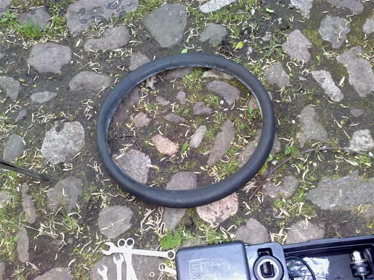 Honda wallaro billede 7