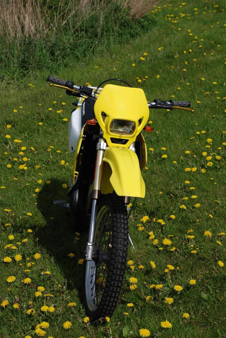 Suzuki Rmx billede 5