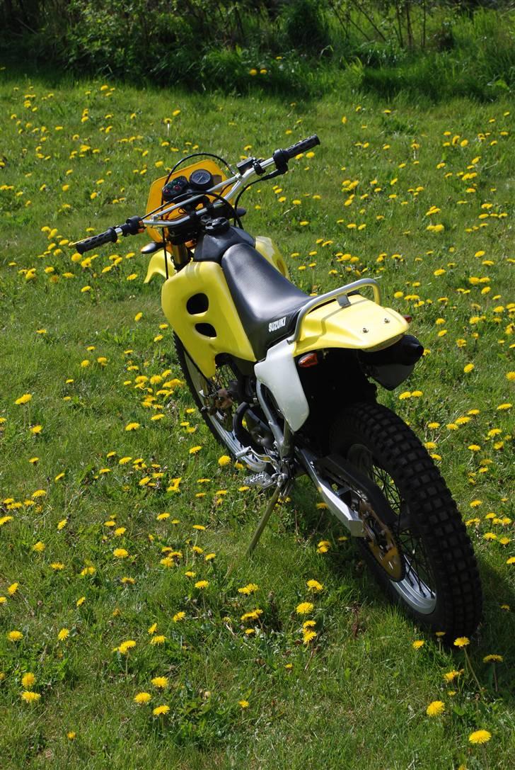 Suzuki Rmx billede 7