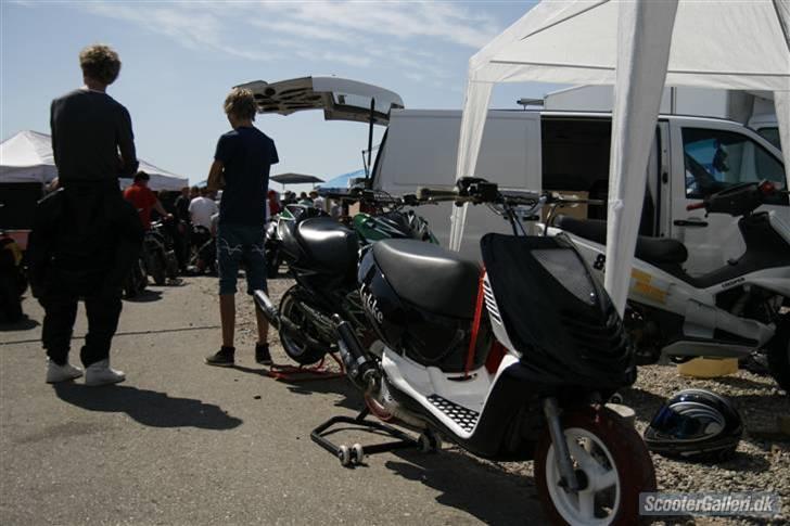 Aprilia Sonic Lykke ( byttet )  billede 4