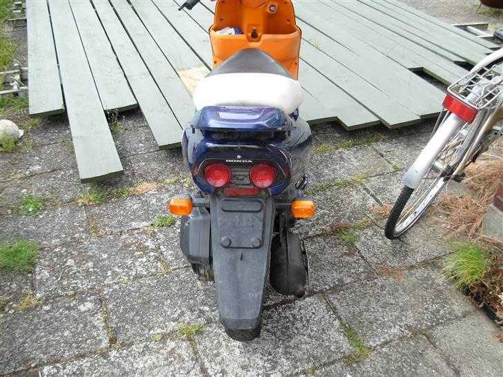 Honda sfx SOLGT billede 4