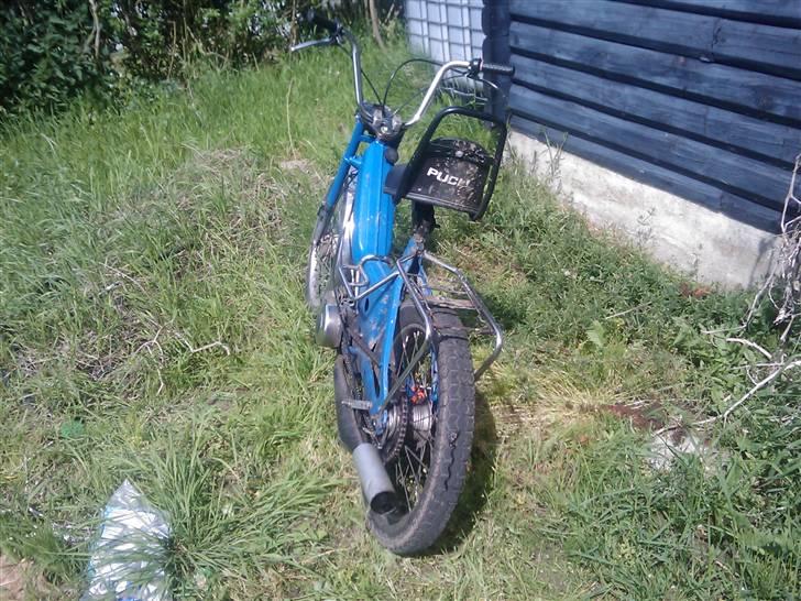 Puch maxi tilsalg billede 3